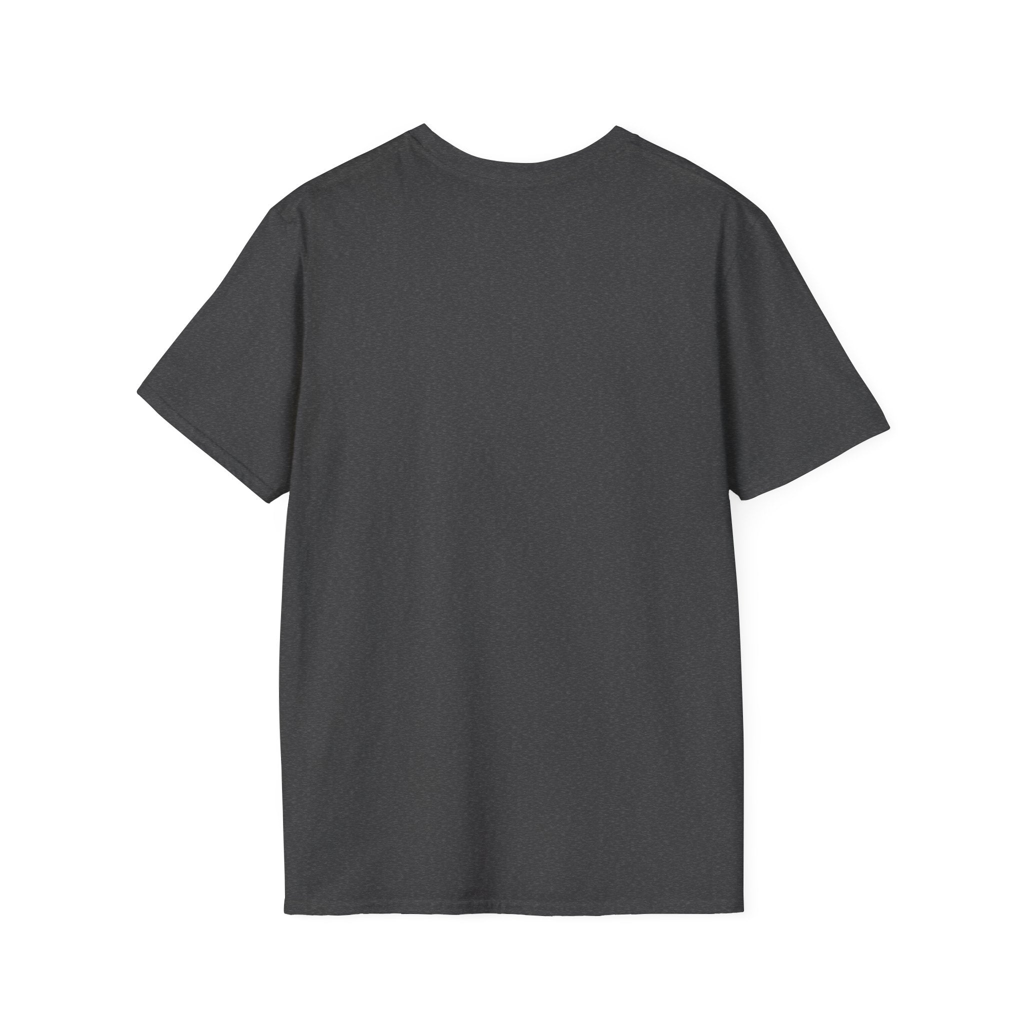 Que Sera Sorcery T-Shirt | Tabletop Gaming D20 Magic Dice Phrase